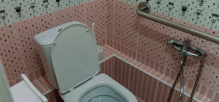 Meeting Diverse Needs With Accessible Restroom Solutions in Clifton, CO